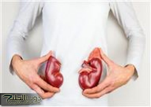 زي ماتكون شربت كوب من السم القاتل … 3 أطعمة احذر شرب الماء أثناء تناولها هذه العادة تسبب أمراض جسيميه خطيرة هتندم ندم عمرك