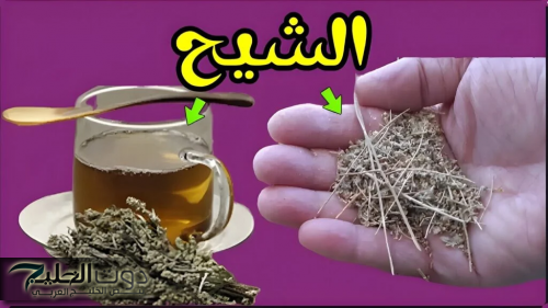 "ياريتني جربتها من زمان".. عشبة هتصحي فيك الامل من جديد.. كنز في هذه النبتة التي تحوي الكثير من الأسرار الاستثنائية