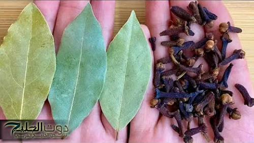 "دلعي جوزك يا مدام".. حطي القرنفل مع ورق الغار بهذه الطريقة لمدة 7 أيام على جسمك قبل النوم وهترجعي عروسة تاني!!.. ممنوع لغير المتزوجات !!