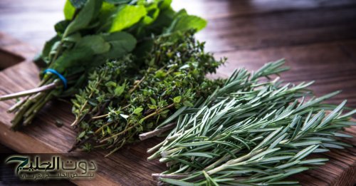 "هتبقي عبقري".. عشبة طبيعية لن تتخيلها تقضي على النسيان والزهايمر وتعزز الذاكرة والتركيز!! نتيجة مبهرة من أول استخدام