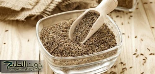 "العالم كله هيموت ويعرفها" .. فتاة مصرية تكشف عن عشبة سحرية برخص التراب تمنع الشيخوخة المبكرة وتنشط الذاكرة والحل الأمثل لتهدئة القولون؟؟