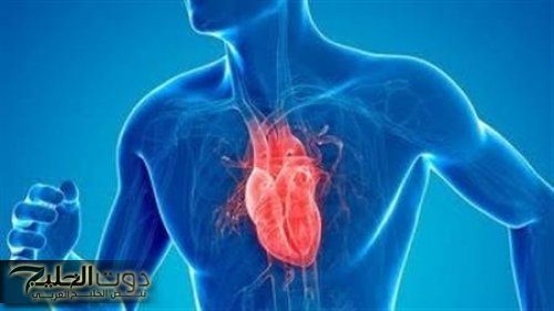 "اطمن هل قلبك بخير؟!".. طبيب مشهور يكشف عن 8 علامات تحذيرية تكشف ضعف عضلة القلب.. لا تتجاهلها لو مريت بأي واحدة منها!!