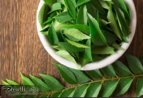 "ازاي ماكناش عرفنها".. عشبة سحـرية تعمل على تخفض السكر التراكمي.. أقوى من قوة إبر الانسولين