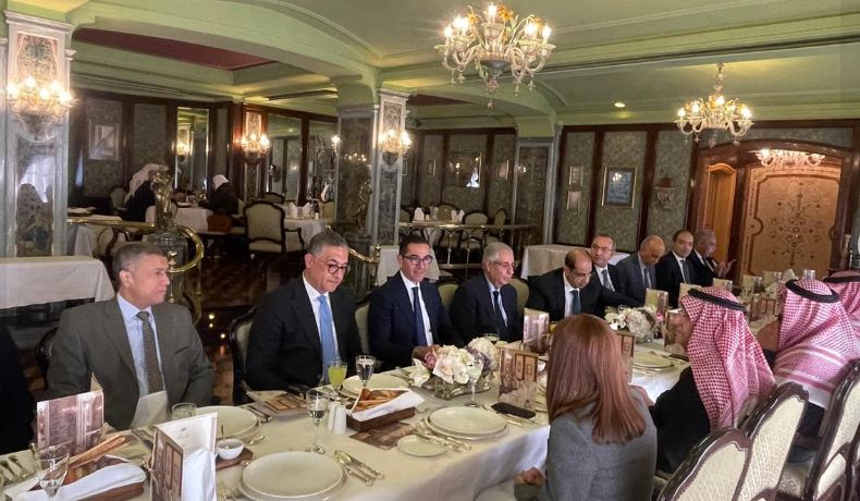 الخطيب: إزالة التحديات التي تواجه الشركات المستثمرة في مصر…