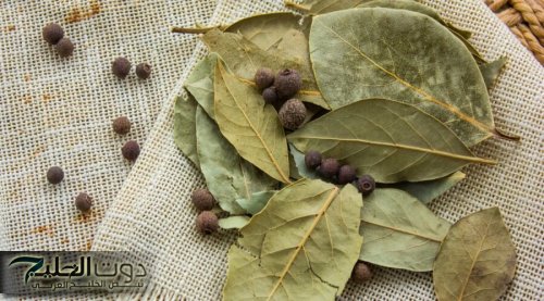 "معجزة جبارة" عشبة ورق الغار الربانية للقضاء على دهون البطن..! تعيدك إلى سن الـ 20 في 7 أيام!!