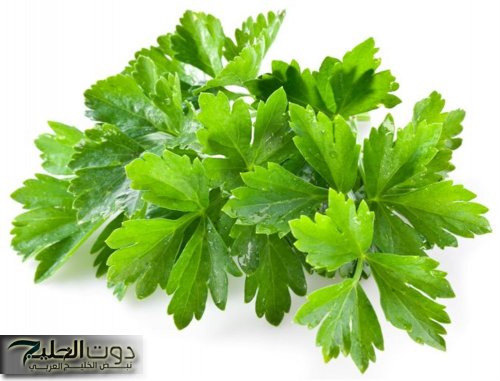 «هدية من الله لعباده».. عشبة سحرية تعطي الجسم الطاقة وتخلصه من الأمراض.. ضاع عمرنا واحنا منعرفهاش!!