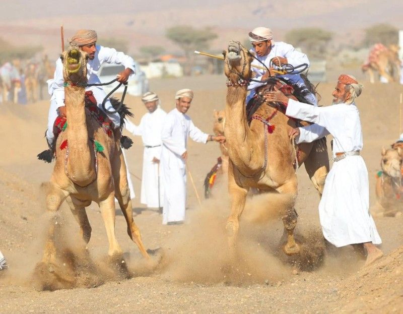 انطلاق مهرجان النبأ السنوي لركض العرضة بولاية القابل