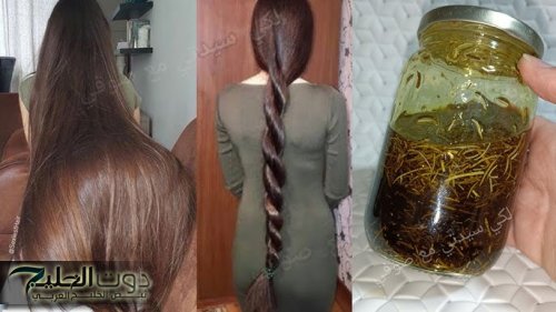 "العشبة المعجزة" إعادة الأمل والحياة للشعر.. عشبة مثل السحر توجد في كل منزل دون أن تعلم الكنز العجيب الذي تحتويه!!