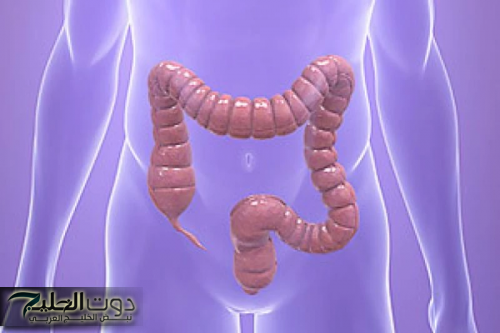 "دون الحاجة للطبيب".. هذه العشبة الجبارة تنظف القولون في 5 دقائق وتخلصك من البراز المتحجر... جربها الآن وشاهد الفرق!"