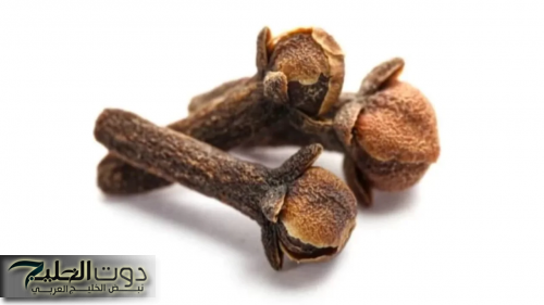 "فتاة سورية في عمر الزهور"... تتناول منقوع القرنفل على الريق وبعد 7 أيام تفاجأت بتغيرات مذهلة في جسمها ... دراسة علمية تكشف السر!