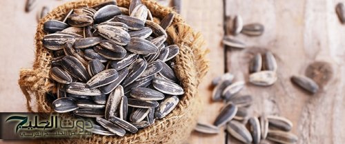 العلماء اتصدموا من اللي بيعملوا في الجسم.. مفاجاة للجميع لن تصدق مايحدث لجسمك عند تناول اللب السوري.. هتاكله طول يومك من النهارده!!