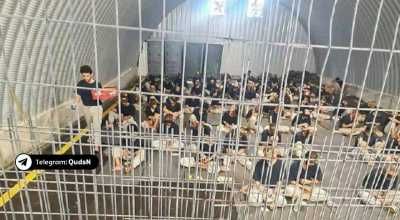 أخبار اليمن : قائمة بأسماء 53 معتقلا فلسطينيا من غزة وأماكن احتجازهم