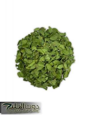 شيخ كبير قالي عليها!!.. تعبت من السحر والمس بيتك مليان مشاكل إليك وصفه ورق الغار... يعالج من بعض الأمراض العضوية والنفسية