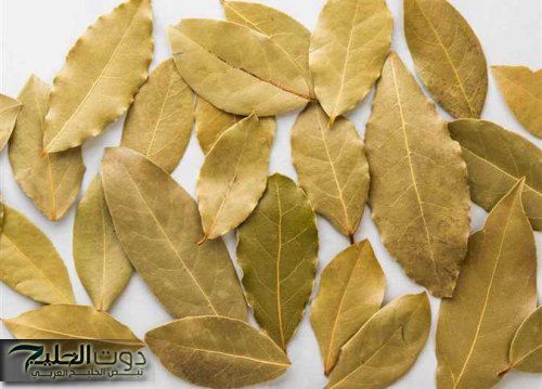 "عشبة هبطت من السماء".. استخدموها بهذه الطريقة لمدة 3 أيام فقط وقولوا وداعًا للكرش ودهون البطن.. مفعولها سحري!!