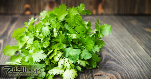 "يا ريتني كنت أعرف من زمان".. كانت حياتي هتتغير.. وداعًا للسكري وحصى الكلى عشبة سماوية هتشفي كل ده!