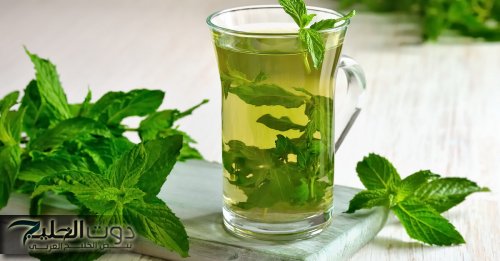 النعناع وتأثيراته السلبية على النساء!!..احذري الإفراط في استخدامه لتجنب هذه الأضرار الصحية الخطيرة!!