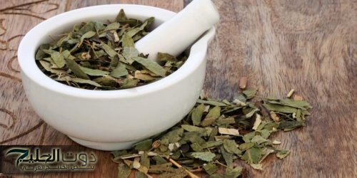 "الدكاترة في أوروبا قالبين عليها الدنيا"..!!.. عشبة سحرية تنظف القولون في دقائق وتخلصك من البراز المتحجر بسهولة!