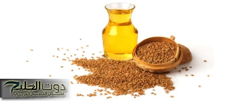 وصفات طبيعية لتنعيم الشعر ومنع تساقطه بدون أدوية ومن البيت