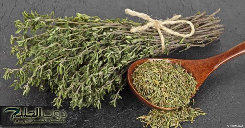 «السعودية هتموت عليها».... عشبة مهملة في كل بيت يجهلها الجميع.. تعيدك شابا حتى لو كنت في الـ 70 من عمرك!!!؟