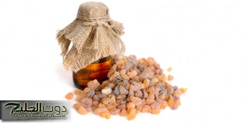 «اكتشافها كنز!!»… عشبة الكولاجين الطبيعية التي ستعيدك إلى العشرينات من عمرك| كانت فين من زمان!!