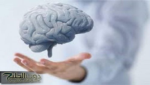 "سر رهيب لتقوية ذاكرتك 10 أضعاف!".. هتندم لو معرفتش الطريقة العلمية دي!