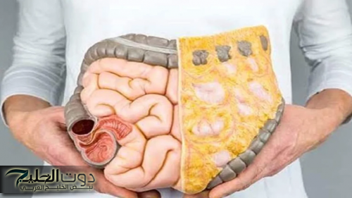 "وصفة عجيبة وبسيطة!"..تعمل على تنظيف القولون في 3 أيام فقط وسينزل منك 9 كيلو من الفضلات الكريهة ويختفي الإمساك للأبد.. ستندم لأنك لم تجربها من زمان!!