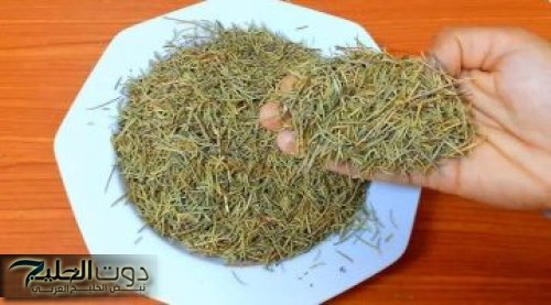 عشبة لو علمت النساء بمنافعها لاشتروها بالذهب !! … لن تصدقي ماذا تفعل في شعرك من اول استعمال