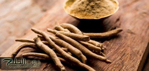 مش هتروح لدكتور تاني .. عشبة طبيعية تقوي الذاكرة وتعيد بناء خلايا المخ الميتة وتحمي من الزهايمر والخرف وحل مثالي لـ “السرطان” .. احرصوا عليها