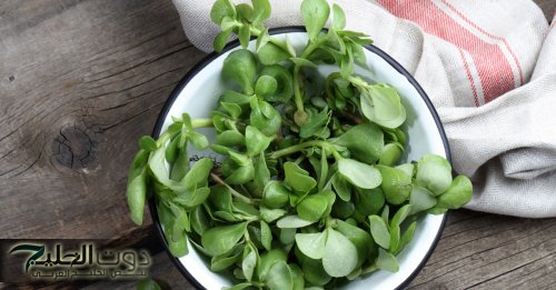 "استخدميها وابهري جوزك".. عشبة سحرية لحل جميع مشاكل البشرة.. وداعا لمشاكل البشرة بعد النهاردة!!