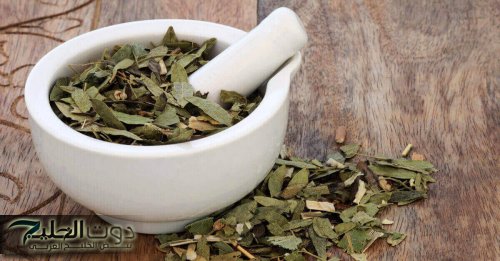 " قولونك هينضف للأبد!"...عشبة بسيطة تنظف القولون من "البراز المتحجر" في دقائق معدودة دون الحاجة للطبيب!