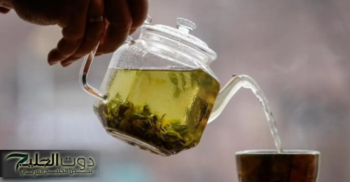 "مخك هيوزن بلد".. فوائد مذهله لإبدال القهوة بالشاي الأخضر وتاثيره المذهل على صحه الدماغ!