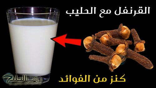 "ياريتني عرفتها من زمان"...ماذا يحدث للجسم عن تناول القرنفل مع الحليب.. تعرف على أبرز الفوائد"