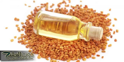 "أقوى من إبرة الانسولين" .. عشبة سماوية تضبط السكر في الدم ويفتت الحصى في الكلى مشروب موجود بكل منزل له 12فائدة مذهلة