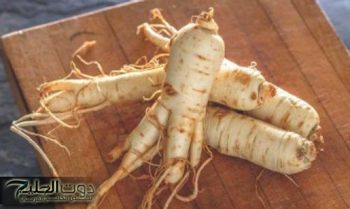 "أسال عليها اي عطار"...عشبة سحرية هتخليك زي الحصان تعمل على زيادة الطاقة و تقوية المناعة | ياريتني عرفتها من زمان