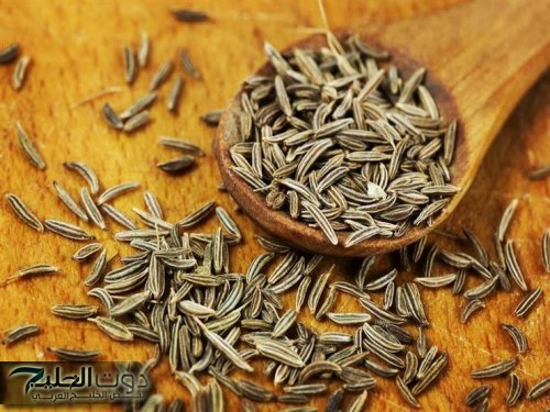 يسحق الكوليسترول سحقا ويقي من السرطان .. نوع توابل مشهور يبهر العلماء بتأثيراته الرهيبة .. مفاجأة