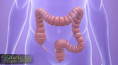 قولونك هينضف للابد... أفضل عشبة سحرية برخص التراب هتنضف القولون تماما وهتخلصك من البراز المتحجر في ثواني.. دكتور ابن حلال قالي عليها