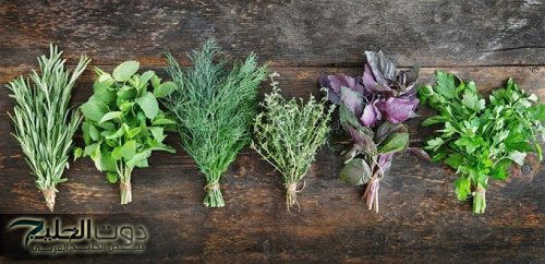 "سحرها عدي الكلام"... عشبة جبارة تخفض السكر التراكمي في الدم فوراً خلال 30 دقيقة فقط مفعولها أسرع من البرق" ياريتني عرفتها من زمان!