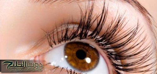تكثيف الحواجب والرموش بوصفات طبيعية فهو السر الطبيعي لجمال العيون