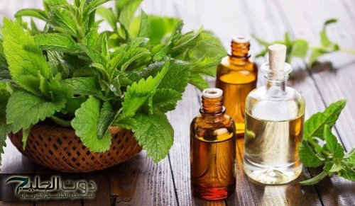 مش هتشتريه من برا تاني!!.. ندمت اني كنت اشتري زيت الزيتون اعمليه بالخلاط بأسهل واسرع طريقه لن تشتريه بعد اليوم..!!