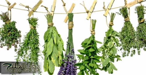 «العشبة اللي مخطرتش علي بال الجن الازرق »..عشبة ربانيه هائلة المفعول تجعلك تتذكر كل شئ وتسيطر علي سكر الدم وتقوي عظامك في لحظات!