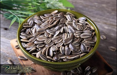 كل يوم هتاكل منه كيلو عشان تستفيد من فوائده!! .. 4 فوائد جبارة للب السوري ستجعلك بصحة ممتازة إذا تناولتها بهذا الشكل .. ستصدمك المعلومات!!