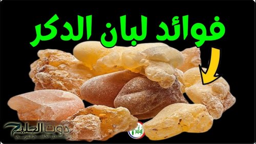 فوائد شرب لبان الذكر على الريق وفوائده للتخسيس
