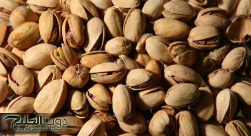 المكسرات السامة: أنواع قد تهدد صحتك