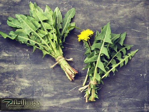 «ضاع عمرنا واحنا مش داريانين»... عشبة بمليون جنيه موجودة في كل مكان ولا يعرف عنها حد أبدا وقيمتها الغذائية عالية جدااا!!!!؟