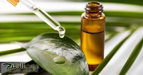 عشبة سحرية لعلاج البواسير والإمساك المزمن دون تدخل جراحي