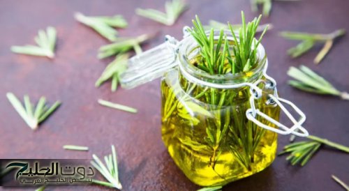 فوائد إكليل الجبل للشعر: سر طبيعي لكثافة وقوة الشعر