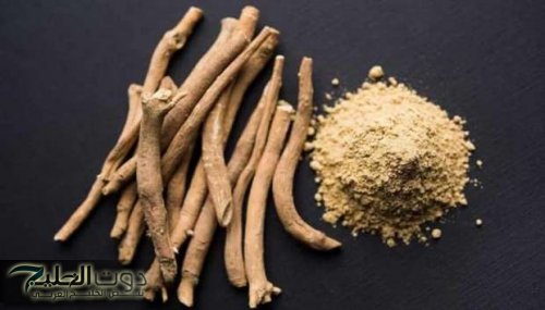 فوائد عشبة الأشواجندا المذهلة: تقوية الذاكرة وحماية من الزهايمر والخرف