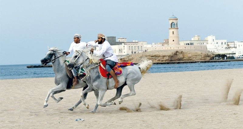 غدا انطلاق مهرجان رياضات الخيل التقليدية بولاية صور
