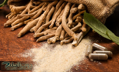 عشبة الأشواجندا: فوائد صحية مذهلة للذاكرة، الدماغ، والوقاية من الزهايمر والسرطان
