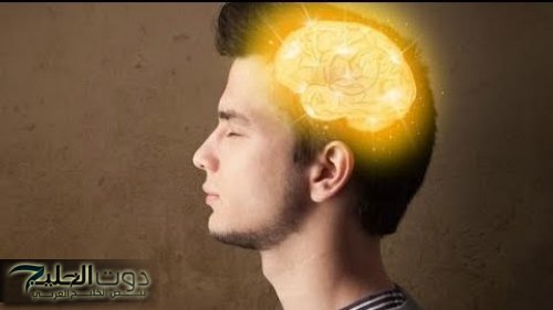 تقوية الذاكرة: نصائح فعالة لتحسين التركيز